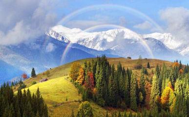 國際旅行社注冊及經(jīng)營國內(nèi)旅游業(yè)務(wù)指南